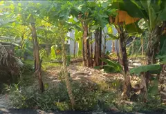 Đất nền vàng hướng Nam yên bình tại phường Hà Lầm... Bán đất tại Hà Lầm, Quảng Ninh 01