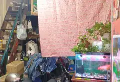 Bán nhà riêng 1 tầng diện tích 53m2 tại Quận Tân Phú... Bán nhà riêng tại Tân Phú, Hồ Chí Minh 04