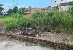 Đất đẹp nở hậu ở Tam Đa, Bắc Ninh - cơ hội đầu tư sinh lời... Bán đất tại Tam Đa, Bắc Ninh 10
