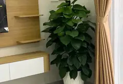 Cơ Hội Vàng Sở Hữu Nhà Riêng Sân Rộng Hẻm Xe Hơi Trên Lê Văn Lương... Bán nhà riêng tại Hiệp Phước, Hồ Chí Minh 07
