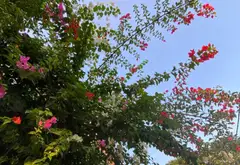 Bán nhà 3 tầng Đông Hưng Thuận, Song Hành, Đường 7m.... Bán nhà riêng tại Đông Hưng Thuận, Hồ Chí Minh 02