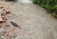 Cơ hội hiếm có sở hữu nhà riêng phong cách tại An Dương, Hải Phòng... Bán nhà riêng tại An Dương, Hải Phòng 04
