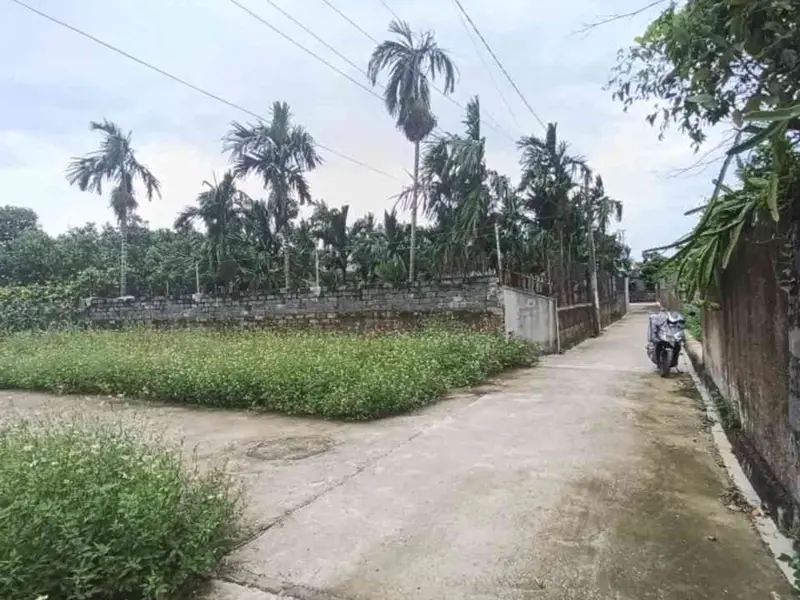 Lô đất góc hot tại Kỳ Sơn, Thủy Nguyên – Không gian sống đỉnh cao... Bán đất tại Lê Ích Mộc, Hải Phòng 01