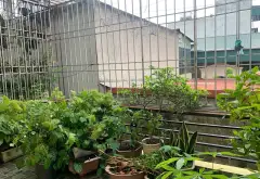 Bán nhà 5 tầng mặt tiền 4.3m khu vực Minh Khai, sổ đỏ riêng... Bán nhà riêng tại Tương Mai, Hà Nội 07