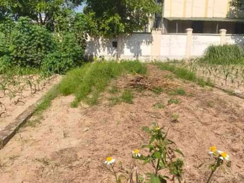 Bán đất xã Gia Lâm, Hà Nội, diện tích 83.7 m2, pháp lý đầy đủ... Bán đất tại Gia Lâm, Hà Nội 01