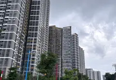 Cơ hội sở hữu đất thổ cư ngay Vinhome Quận 9 giá cực tốt... Bán đất tại Long Bình, Hồ Chí Minh 02