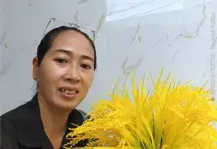 Nhà lô nhì 10m ra Huỳnh Tấn Phát, Nhà Bè, 9,37m, 66m², nhỉnh 3 Tỉ... Bán nhà riêng tại Nhà Bè, Hồ Chí Minh 01
