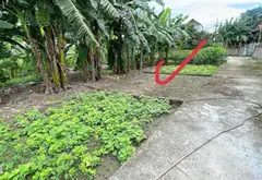 Bán đất 70m² tại Tân Trại, Phú Cường sát sân bay Nội Bài, sổ đỏ chính chủ... Bán đất tại Nội Bài, Hà Nội 05