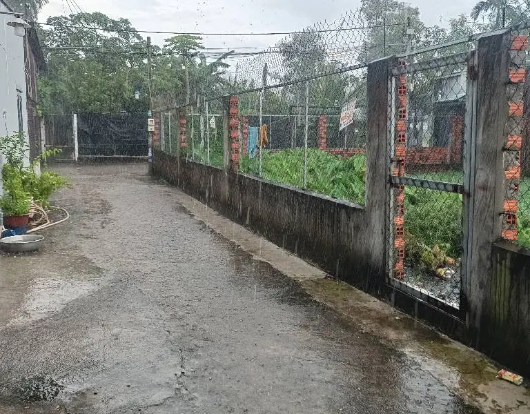 Bán đất thổ cư gần Đỗ Văn Dậy, Tân Hiệp, Hóc Môn, diện tích 93.5 m2... Bán đất tại Hóc Môn, Hồ Chí Minh 01