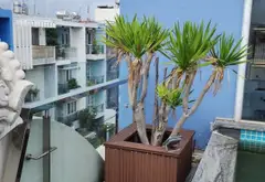 🔥 BIỆT THỰ PHỐ TÂN CỔ ĐIỂN – KHU TÊN LỬA – GÓC 2 MT – 5x20M – 4 TẦNG – 3PN – DÒNG TIỀN 25TR/THÁNG... Bán nhà mặt phố tại An Lạc, Hồ Chí Minh 08