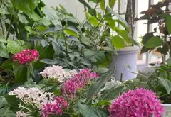 Căn hộ 2 phòng ngủ góc thoáng mát tại khu đô thị Việt Hưng, Long Biên... Bán căn hộ chung cư tại Việt Hưng, Hà Nội 20