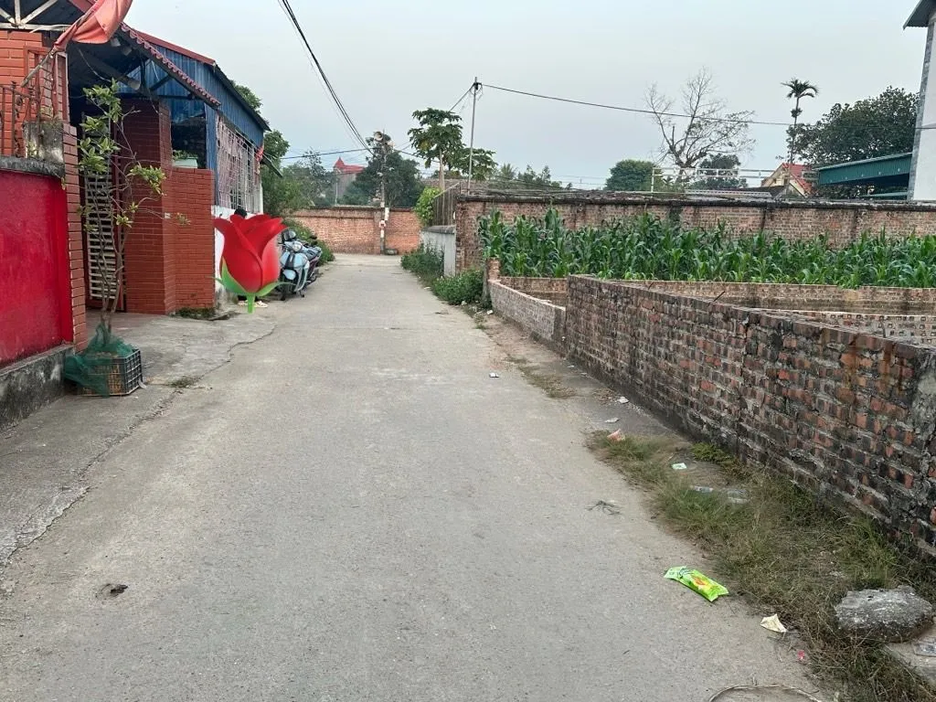 Bán đất 120m2 tại KIM ANH đường ô tô thông gần trường học... Bán đất tại Kim Anh, Hà Nội 01