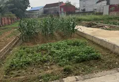 Lô góc đẹp, ô tô ngủ trong đất - Xuân Đồng, Tân Minh... Bán đất tại Sóc Sơn, Hà Nội 01