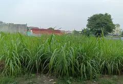 BÁN ĐẤT TÂN XUÂN 6 HÓC MÔN PHÂN LÔ CÓ SỔ HỒNG RIÊNG TỪNG NỀN 5X25M GẦN SONG HÀNH GIÁ TỪ 4.55 TỶ... Bán đất tại Hóc Môn, Hồ Chí Minh 03