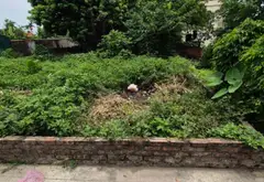 Bán đất phân lô xã Hồng Vân, Hà Nội, ô tô đỗ cửa, gần chợ Vạn Phúc 3... Bán đất tại Hồng Vân, Hà Nội 01
