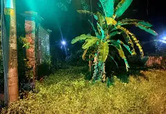Cơ hội cuối cùng sở hữu đất mặt tiền tại An Nhơn Tây với giá không thể tốt hơn... Bán đất tại An Nhơn Tây, Hồ Chí Minh 07