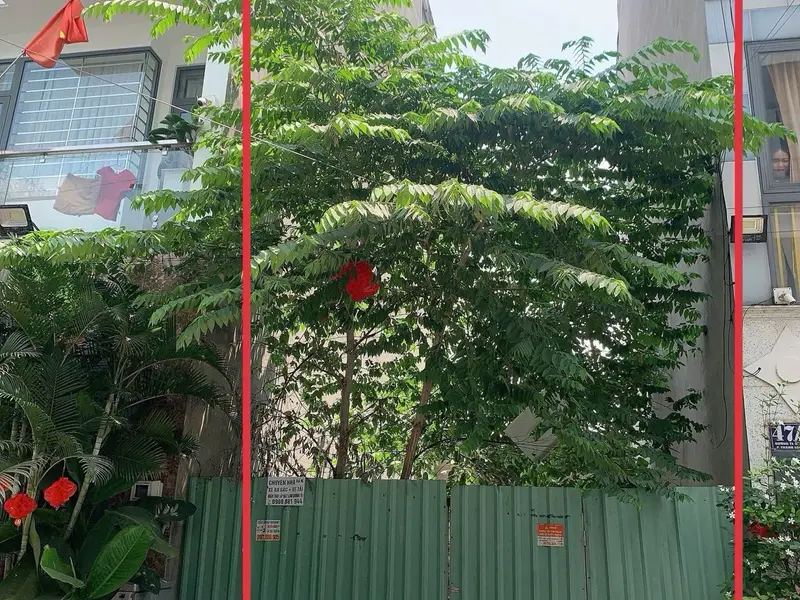 Bán Đất Thổ Cư đường TL08 phường THẠNH LỘC Q12 HẺM 7M XE HƠI –50,4M² –GẦN BẾN XƯA... Bán đất tại An Phú Đông, Hồ Chí Minh 01