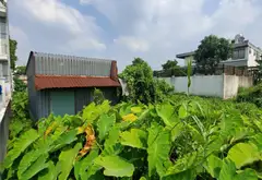 Bán đất rộng mặt tiền lớn tại An Hạ, tiềm năng tăng giá vượt trội... Bán đất tại Vĩnh Lộc, Hồ Chí Minh 11
