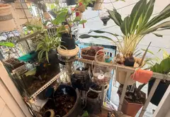 QUẬN7|BÙI VĂN BA|12M²|3 TẦNG| HẺM 2M|SHR|2PN|2WC... Bán nhà riêng tại Tân Thuận, Hồ Chí Minh 04