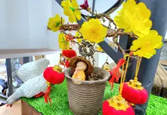 Nhà riêng đẳng cấp với diện tích vừa vặn tại trung tâm quận, không gian yên tĩnh... Bán nhà riêng tại Gò Vấp, Hồ Chí Minh 11