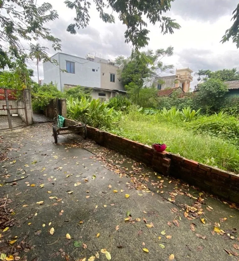 Mình chính chủ cần bán gấp Đất Nở Hậu 80.5m², Chỉ 1.8 Tỷ Tại Phú Nghĩa... Bán đất tại Phú Nghĩa, Hà Nội 01