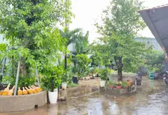 Nhà mặt phố Tân Đông Hiệp siêu rộng, kinh doanh đỉnh... Bán nhà mặt phố tại Tân Đông Hiệp, Hồ Chí Minh 06