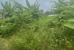 Đất rộng mặt tiền thoáng, vị trí tiện lợi tại Đông Thạnh, HCM... Bán đất tại Đông Thạnh, Hồ Chí Minh 02