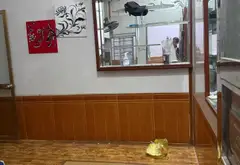 Nhà 2 tầng siêu đỉnh ở Cát Bi, ngõ rộng, gần phố – Sống chuẩn đẳng cấp... Bán nhà riêng tại Hải An, Hải Phòng 05