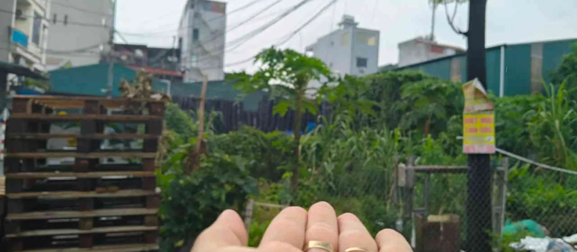 Cơ hội sở hữu đất vàng lô góc Tiên Xá Hạp Lĩnh, ôtô tránh, giá đầu tư!... Bán đất tại Hạp Lĩnh, Bắc Ninh 01