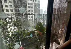 Căn hộ chung cư - 82.5m² - Xuân Phương, Nam Từ Liêm, Hà Nội - 5.7 tỷ... Bán căn hộ chung cư tại Xuân Phương, Hà Nội 05