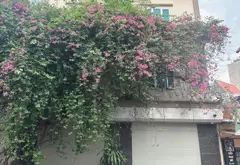 Lô góc hiếm có tại Hoa Lâm, ô tô tải đỗ cửa, view cực chill... Bán đất tại Việt Hưng, Hà Nội 03