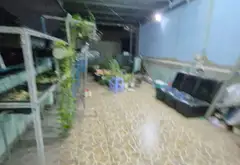 CHỦ NHIỆT BÁN, GIẢM GIÁ SÂU, GIÁ CHÀO MỚI 6.25 TỶ.

HẺM XE HƠI TRÁNH THÔNG... Bán nhà riêng tại Tân Thới Hiệp, Hồ Chí Minh 03