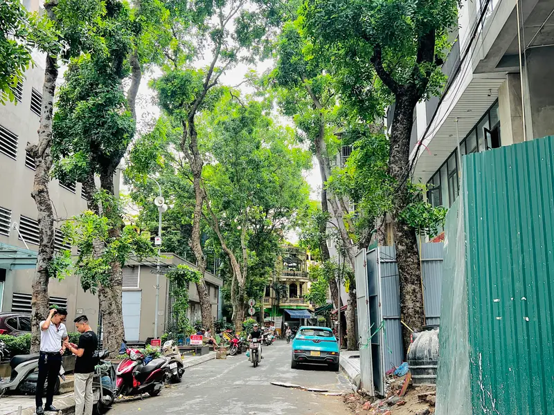 Bán nhà PLQĐ LÊ TRỌNG TẤN 48.3m2, 6 tầng Thang Máy, Nhà Mới, Full Nội Thất, Ngõ 3m, 20m Ra Ô Tô... Bán nhà riêng tại Phương Liệt, Hà Nội 01