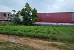 Đất đẹp giá tốt tại Mai Thượng - Việt Yên... Bán đất tại Tự Lạn, Bắc Ninh 17