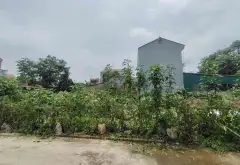 Bán đất xã Quảng Hội, lô góc, ô tô tránh, vị trí tiềm năng gần sân bay Nội Bài... Bán đất tại Nội Bài, Hà Nội 09