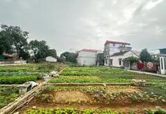 Bán đất trung tâm Ninh Xá, ô tô vào, dân cư đông... Bán đất tại Ninh Xá, Bắc Ninh 02