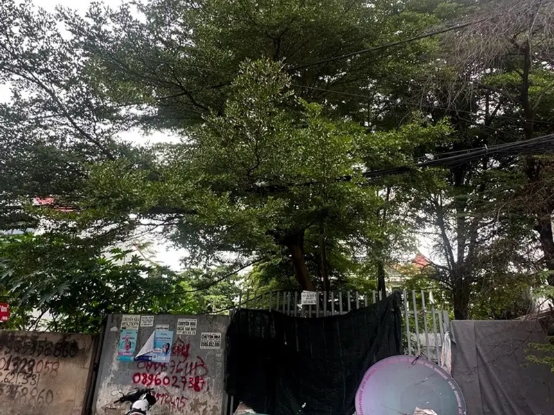 Đất Biệt Thự Ven Sông Phường Hiệp Bình, Hồ Chí Minh - Đẳng Cấp Tinh Tế... Bán đất tại Hiệp Bình, Hồ Chí Minh 01