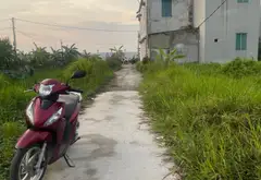 Đất đẹp Mão Điền giá tốt, ô tô vào tận nơi... Bán đất tại Mão Điền, Bắc Ninh 04