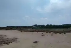 Bán đất 6000m2 mặt tiền 56m tại An Thới Đông TP HCM... Bán đất tại An Thới Đông, Hồ Chí Minh 04