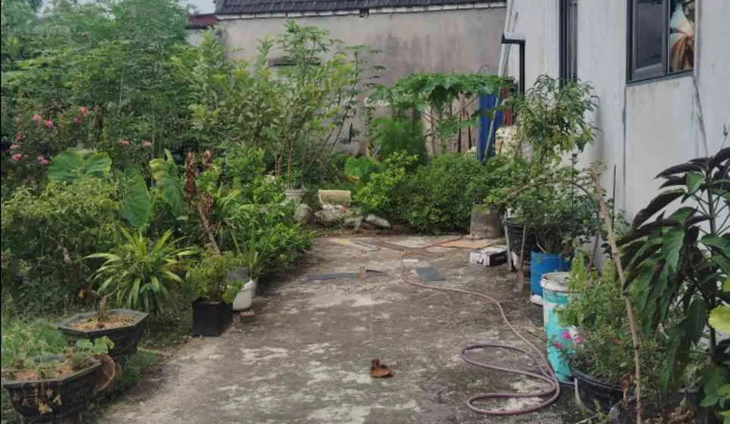 Lô đất vuông vắn hướng Tây Bắc tại Thủy Nguyên, Hải Phòng, diện tích rộng 66.9 m²... Bán đất tại Bạch Đằng, Hải Phòng 01