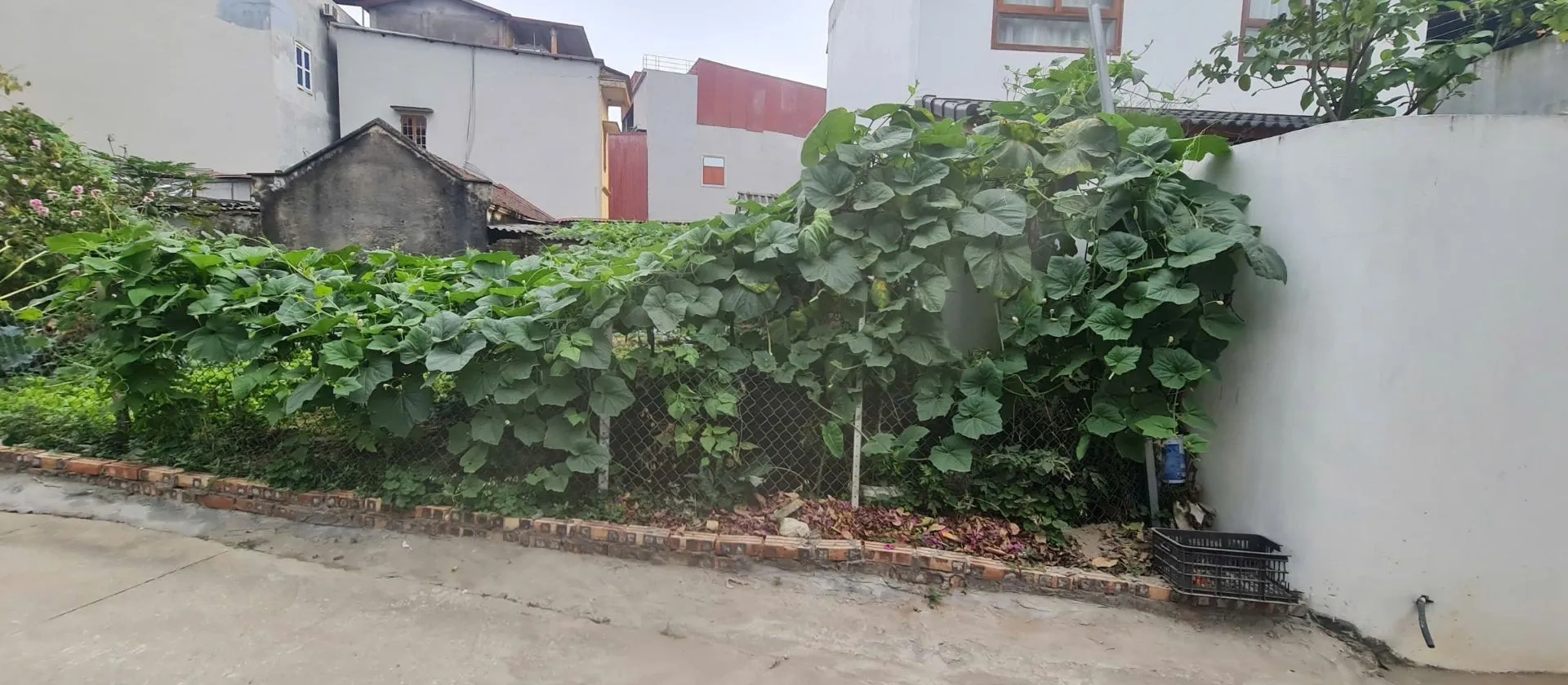 Đất Lõi KCN Quế Võ, Ô Tô Vào Tận Nơi, Giá Tốt... Bán đất tại Nam Sơn, Bắc Ninh 01