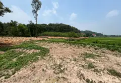 Đất rộng giá hời gần quốc lộ Sóc Sơn, view cánh đồng mát lành... Bán owner_side tại Sóc Sơn, Hà Nội 06