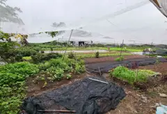 Bán nhanh lô đất rộng lớn tại Hóc Môn, vị trí vàng chỉ cách chợ 300m... Bán đất tại Đông Thạnh, Hồ Chí Minh 03