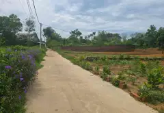 Đất Vuông Mặt Tiền Rộng 12m Sóc Sơn – Cơ Hội Vàng Đầu Tư... Bán đất tại Trung Giã, Hà Nội 01