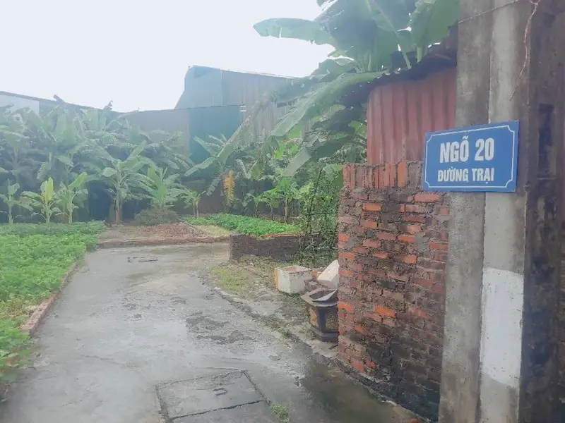 Bán đất 120m2 xã Tiên Dược, Sóc Sơn, Hà Nội, giá 4 tỷ, pháp lý đầy đủ... Bán đất tại Sóc Sơn, Hà Nội 01