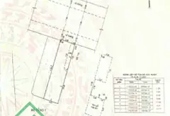 CHỈ 11,5 TỶ – MẶT TIỀN KHU HỌ LÊ – GÓC LÊ NIỆM – VÕ VĂN DŨNG – ĐƯỜNG 12M, LỀ 3M – 81M² – XÂY CAO TẦ... Bán nhà mặt phố tại Phú Thạnh, Hồ Chí Minh 04