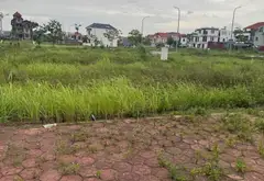 Đất kinh doanh và an cư đắc địa tại TĐC Hoa Động với tiềm năng tăng giá vượt trội... Bán đất tại Thủy Nguyên, Hải Phòng 02