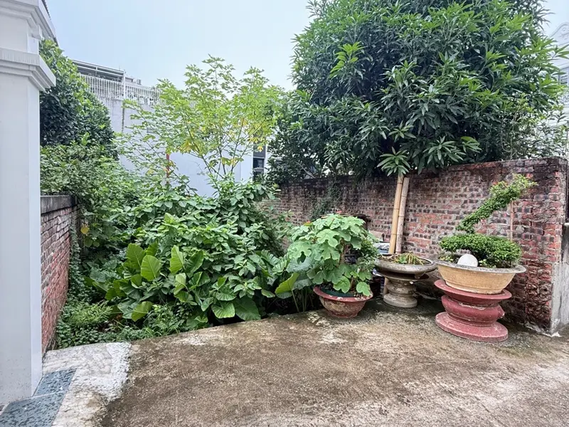 Cơ Hội Vàng Sở Hữu Lô Đất Đẹp Tại Phủ Thượng Đoạn Với Hướng Đông Nam... Bán đất tại Đông Hải, Hải Phòng 01