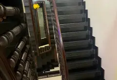 Biệt Thự mặt phố 338m² Tân Bình, TP Hồ Chí Minh - Giá 66 tỷ - Sân vườn rộng, 4 tầng... Bán nhà mặt phố tại Tân Bình, Hồ Chí Minh 15