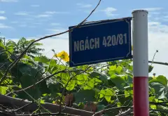 BÁN ĐẤT Ỷ LAN - ĐẶNG XÁ - GIA LÂM... Bán đất tại Gia Lâm, Hà Nội 11